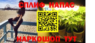 СК Тара