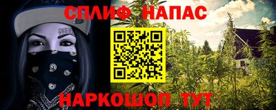 СК Тара