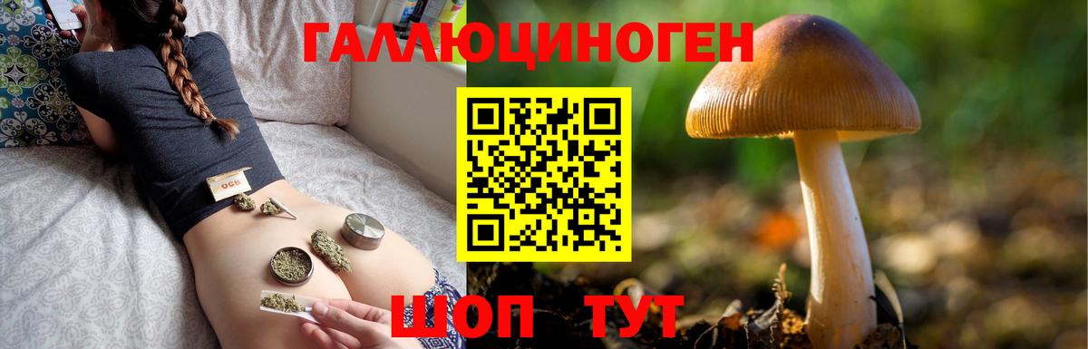 Павловский Посад  Псилоцибиновые грибы прущие грибы  наркота  Вход с VPN 