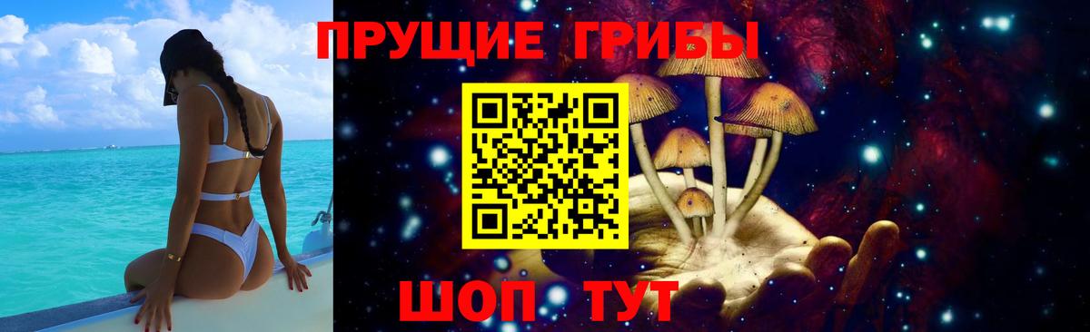 Галлюциногенные грибы Psilocybe Павловский Посад
